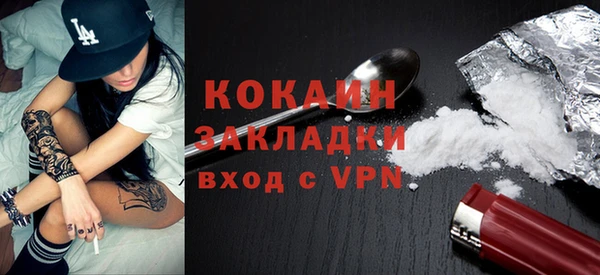 дживик Бронницы